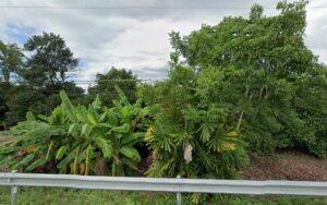 ตู้เอทีเอ็มธนาคารออมสิน: ตู้เอทีเอ็มของธนาคารออมสินที่จันทบุรีอำเภอท่าใหม่